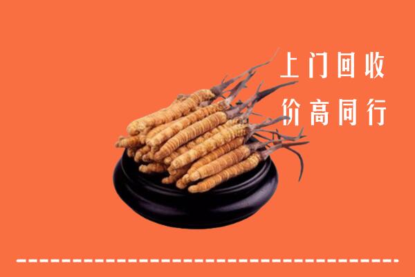 高价求购：大庆市大同区回收散虫草