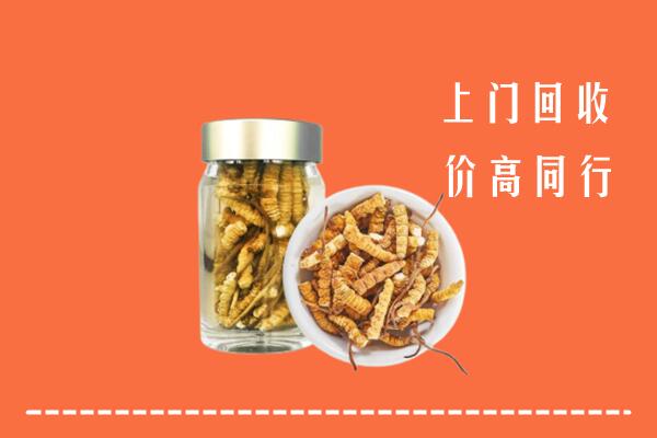 收购行情：大庆市大同区回收冬虫夏草